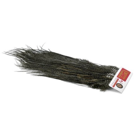 Saddle Grizzly Variant