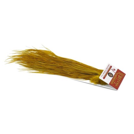 White dyed Golden Olive