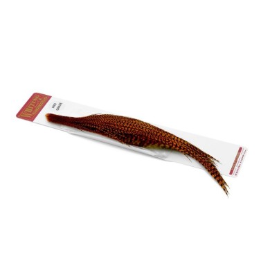 Grizzly dyed Burnt Orange