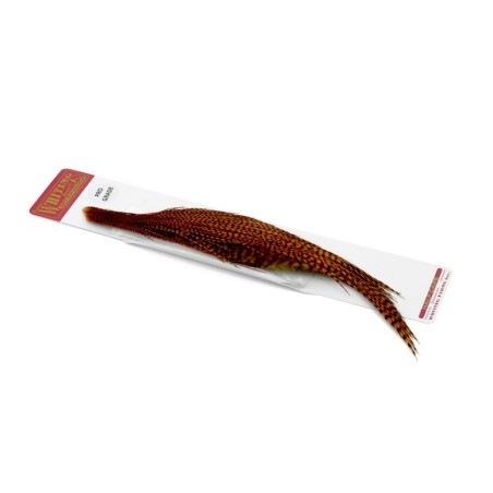 Grizzly dyed Burnt Orange