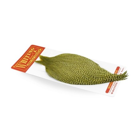 Grizzly dyed Pale Yellow