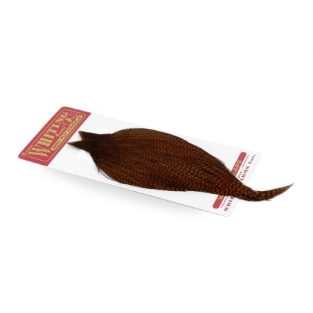 Grizzly dyed Natural Brown