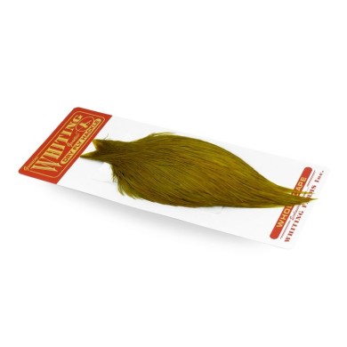 White dyed Golden Olive