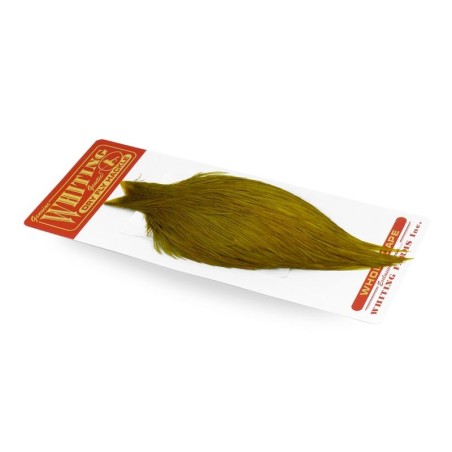 White dyed Golden Olive