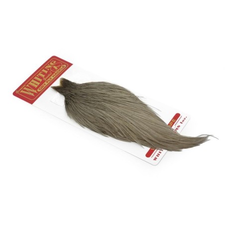 White dyed Medium Dun