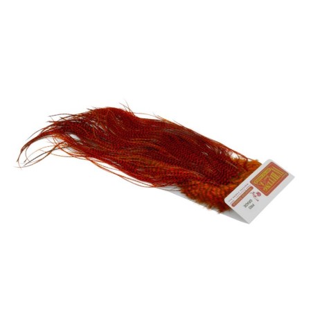 Grizzly dyed Orange