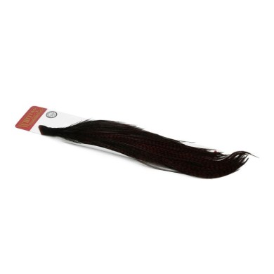 Grizzly teñido de marrón Coachman