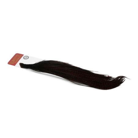 Grizzly teñido de marrón Coachman