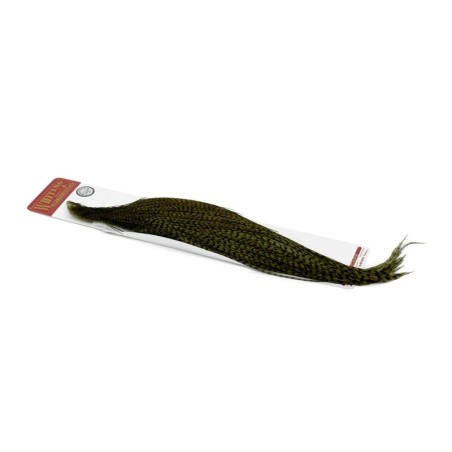 Grizzly teñido de oliva oscuro