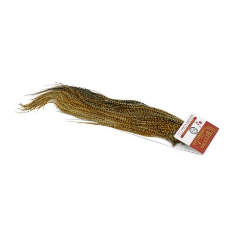 Grizzly dyed March Brown