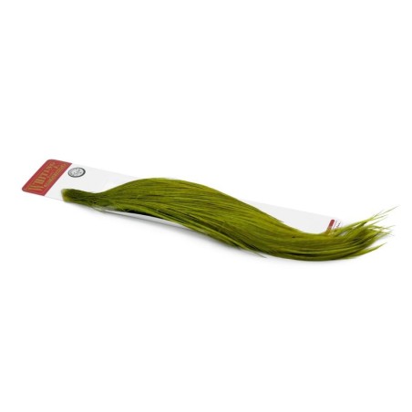 Blanco teñido Oliva