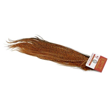 Grizzly dyed Golden Brown