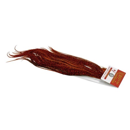Grizzly dyed Burnt Orange