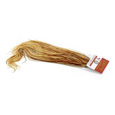 Barred Med. Jengibre