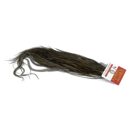 Blanco teñido Dun oscuro