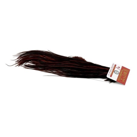 Blanco teñido de marrón Coachman