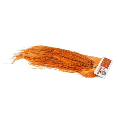 White dyed Golden Brown