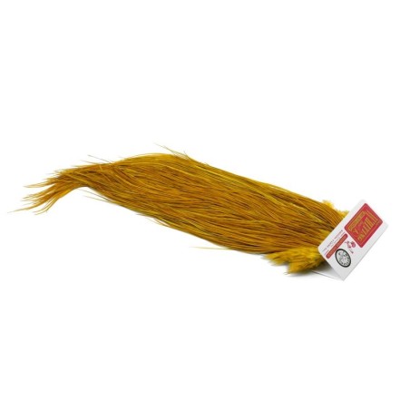 White dyed Golden Olive