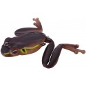 JP Brown Frog