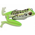 Kahara Diving Frog