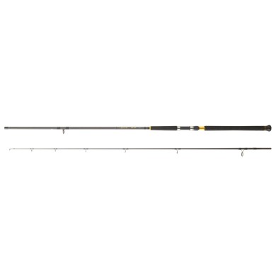 Daiwa Legalis Shore Jigging (2025)-
