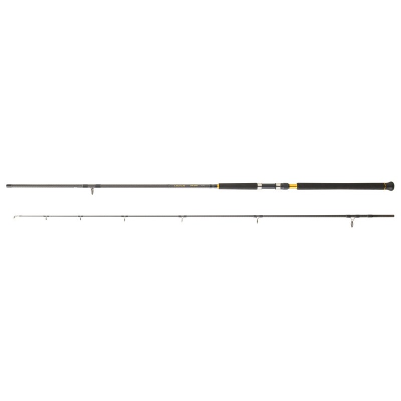 Daiwa Legalis Shore Jigging (2025)-