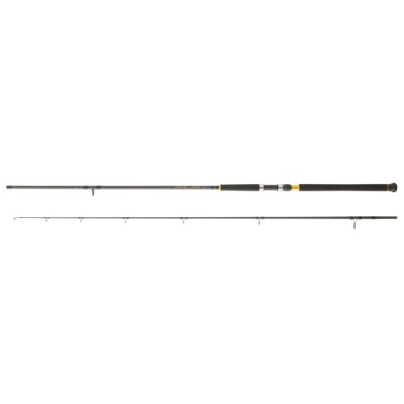 Daiwa Legalis Shore Jigging (2025)-