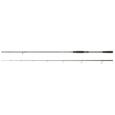 Daiwa Legalis Sea Bass (2025)-