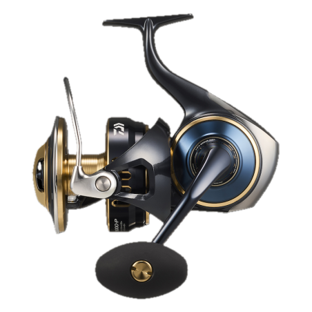 Daiwa Saltiga 25-
