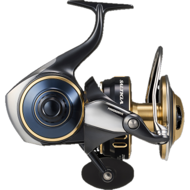 Daiwa Saltiga 25-