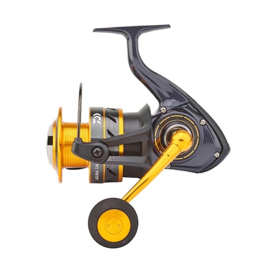 Daiwa Laguna 24 SW-