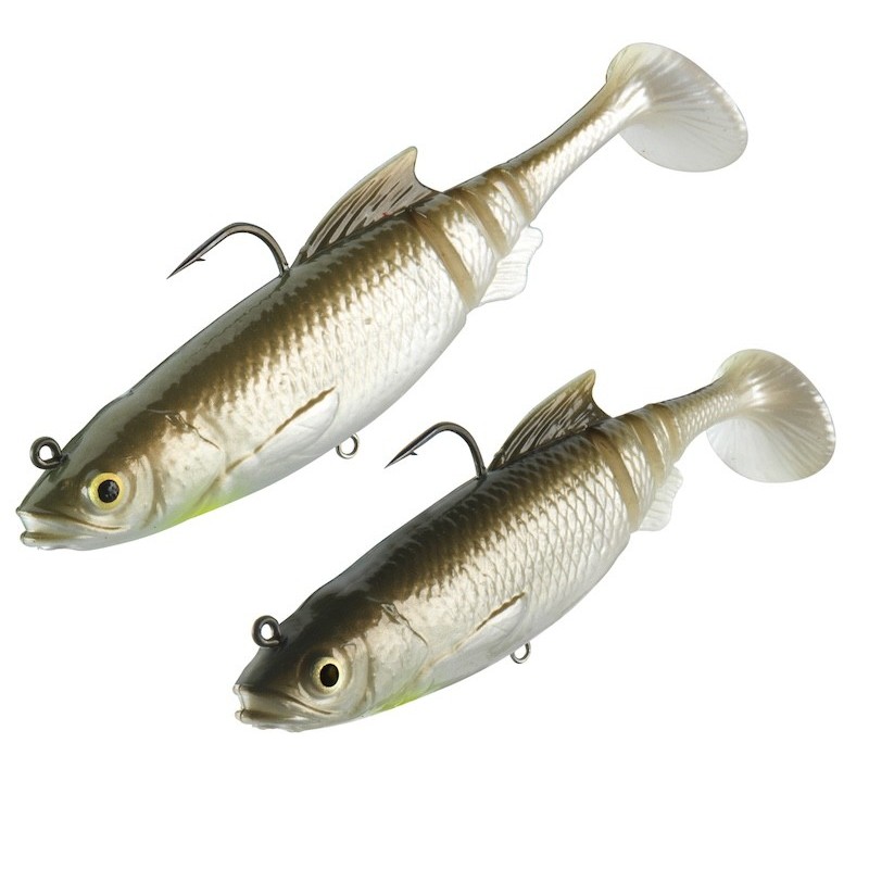 Daiwa Prorex Lazy Roach RD-