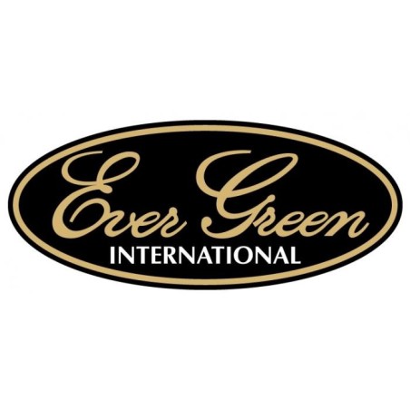 Evergreen Boat Deck Sticker W400-