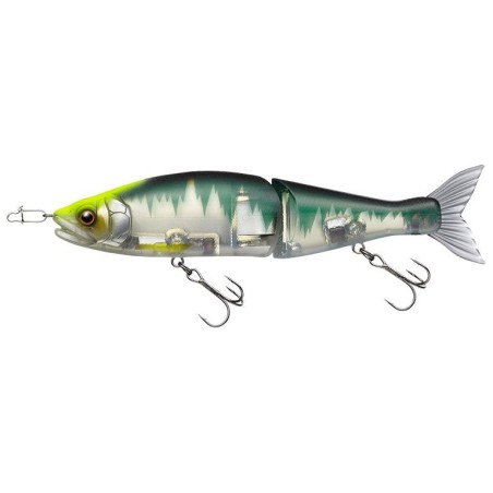 EG02 KIKUMOTO HASU BLUE FLASH