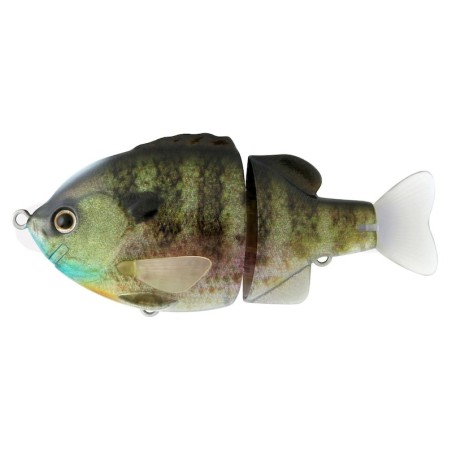 #01 Real Blue Gill