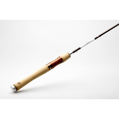 Myran Myrmecia Trout-