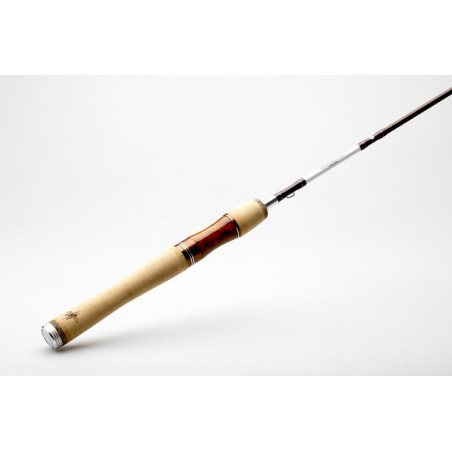 Myran Myrmecia Trout-