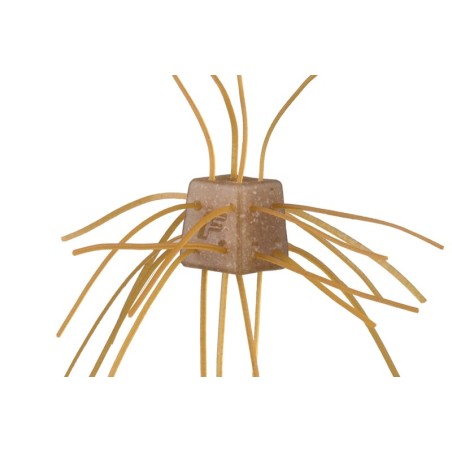 SR08 Invincible Shrimp