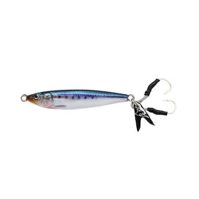 01 The Sardine [10G]