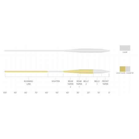 Scientific Anglers Magnitude Smooth Balance 15' Clear Tip-