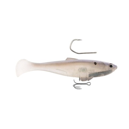 Whitebackshad