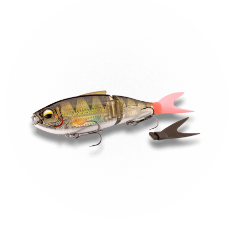 Real Perch