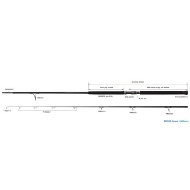 100H - 3.04m - Jig 30-200g-Plug 30-120g - 2 brins
