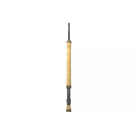 Native Canne NII 380-