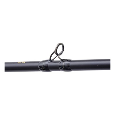 Illex The Artist X5 B 250 XH Notorious Pike-
