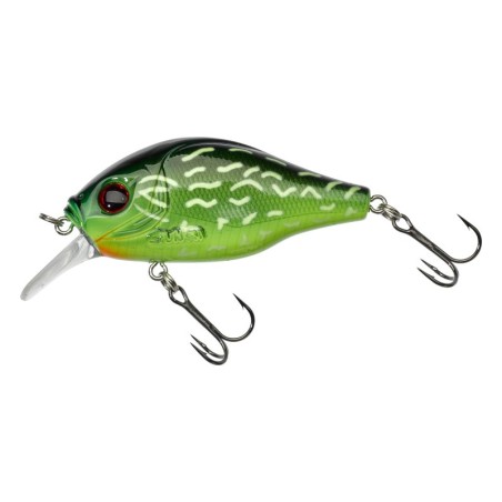 BURNING PIKE