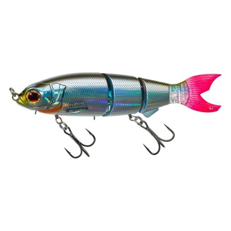 Roach Tendance
