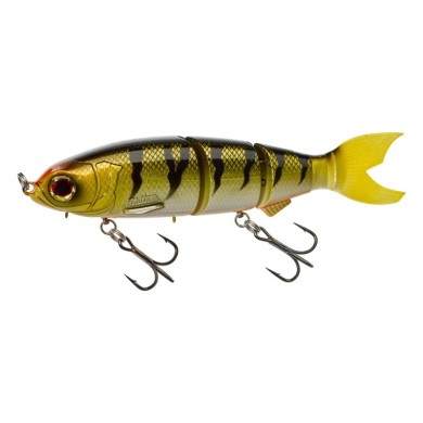 Gold Perch Orange