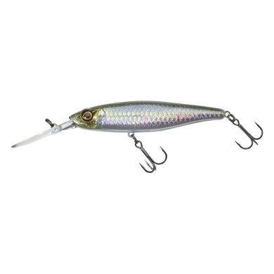HS Minnow