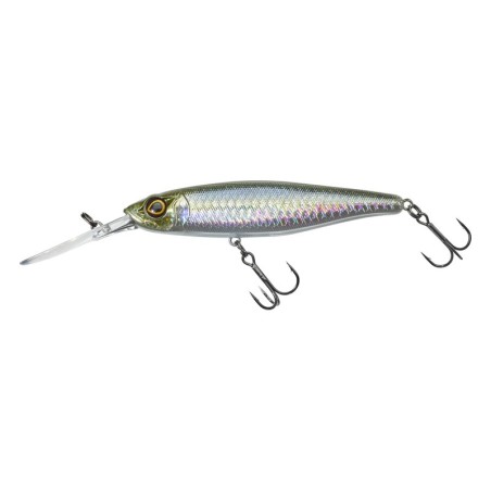 HS Minnow